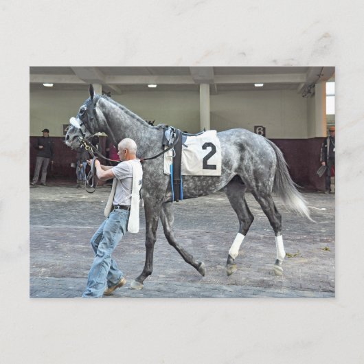 Mister Monolo Briefkaart (Voorkant)