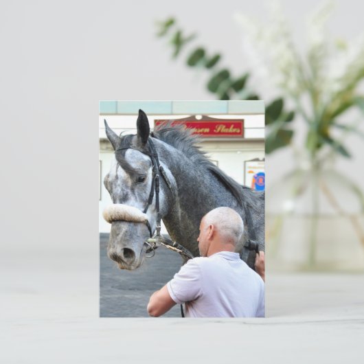 Mister Monolo Briefkaart (Staand voorkant)