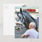 Mister Monolo Briefkaart (Voorkant / Achterkant)