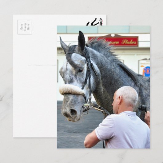 Mister Monolo Briefkaart (Voorkant / Achterkant)