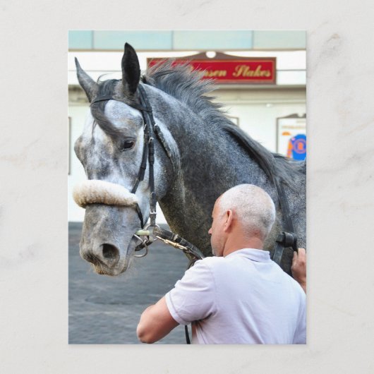 Mister Monolo Briefkaart (Voorkant)