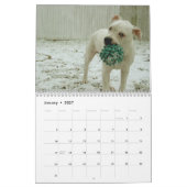 Mister Nelson Buckles : De Amerikaanse hond Kalender (Jan 2027)