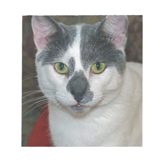 Mister Pants Notitieblok (Voorkant)