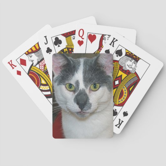 Mister Pants Speelkaarten (Achterkant)