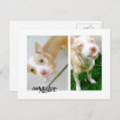 Mister! Tongue! Briefkaart (Voorkant / Achterkant)