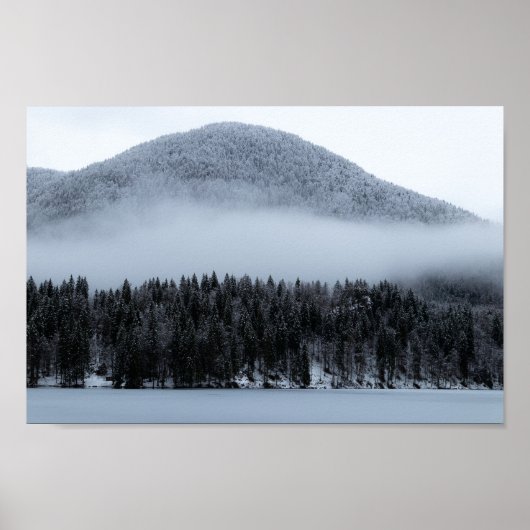 Misterrol over bronbos poster (Voorkant)