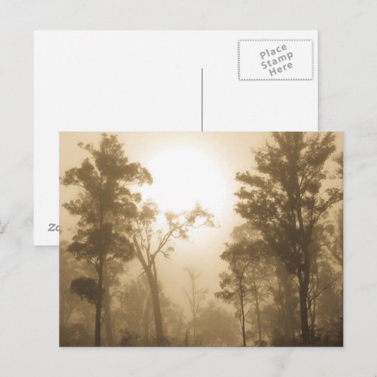 Mistige BosSepia - Briefkaart (Voorkant / Achterkant)