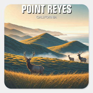 Mistige Point Reyes National Seashore Elk Vierkante Sticker