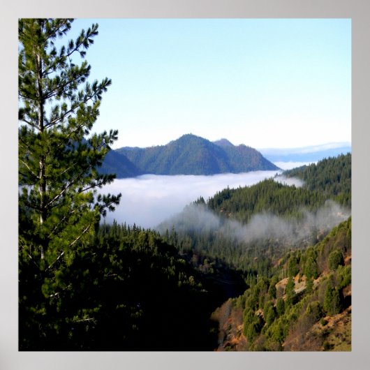 Misting ochtendmist..... poster (Voorkant)