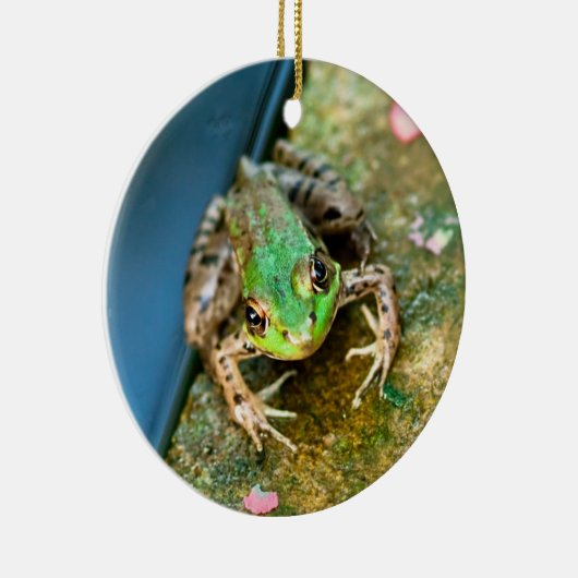 Mistletoad - ronde keramische kikker met kerstvers keramisch ornament (Rechts)