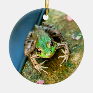 Mistletoad - ronde keramische kikker met kerstvers keramisch ornament