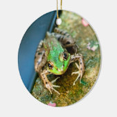 Mistletoad - ronde keramische kikker met kerstvers keramisch ornament (Links)