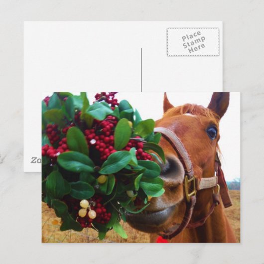 Mistletoe Briefkaart (Voorkant / Achterkant)