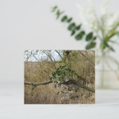 Mistletoe Briefkaart (Staand voorkant)