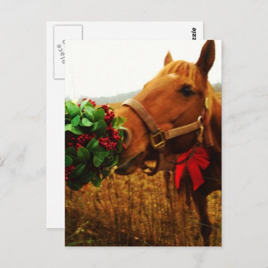 Mistletoe Briefkaart (Voorkant / Achterkant)