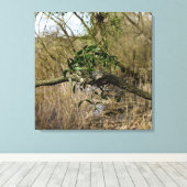 Mistletoe Canvas Afdruk (Insitu (Houten vloer))