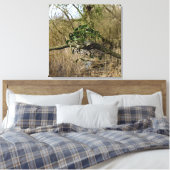 Mistletoe Canvas Afdruk (Insitu (Slaapkamer))