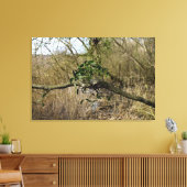 Mistletoe Canvas Afdruk (Insitu (Woonkamer))