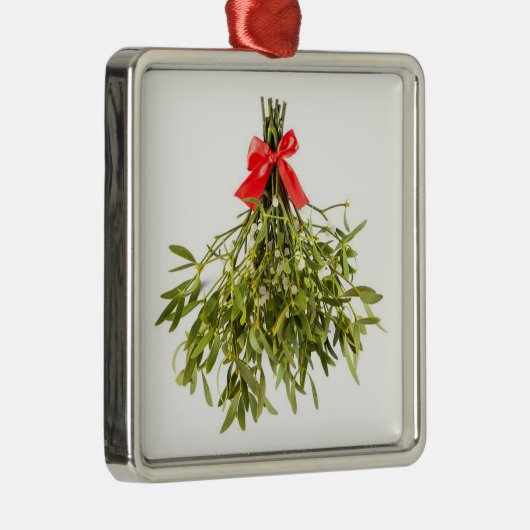 * MISTLETOE* CHRISTMAS ORNAMENT (Rechts)