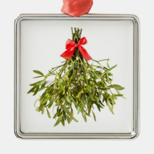 * MISTLETOE* CHRISTMAS ORNAMENT
