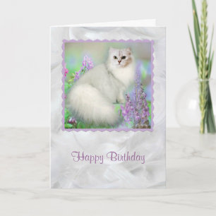 Mistletoe de Silver Persian Cat Birthday Card Kaart