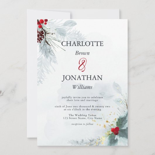 Mistletoe Elegant Waterverf Winter Wedding Invita Kaart (Voorkant)
