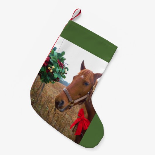 Mistletoe en bruine paardenboeg kleine kerstsok (Voorkant (Hangend))