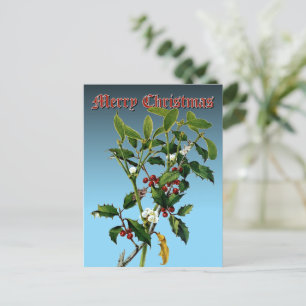 Mistletoe & Holly Greenery Botanische Kunst Feestdagenkaart