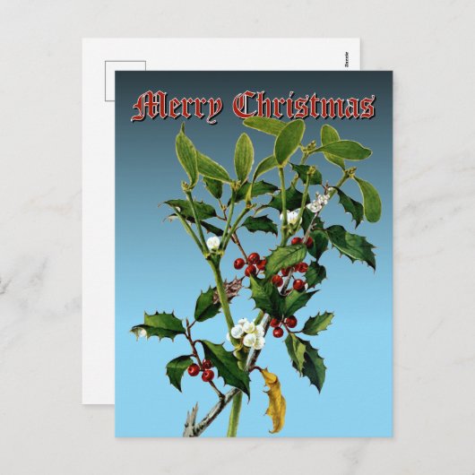 Mistletoe & Holly Greenery Botanische Kunst Feestdagenkaart (Voorkant / Achterkant)