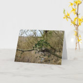 Mistletoe Kaart (Gele Bloem)
