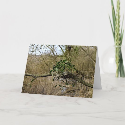 Mistletoe Kaart (Voorkant)