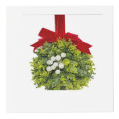 mistletoe kubus (Voorkant)