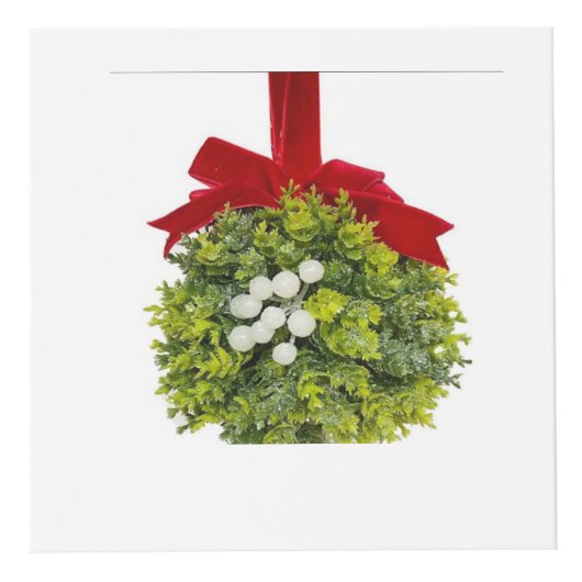 mistletoe kubus (Voorkant)