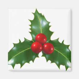 Mistletoe Magneet