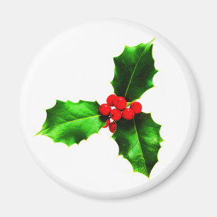 Mistletoe Magneet