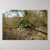 Mistletoe Poster (Voorkant)