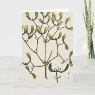 Mistletoe uit 'A Curious Herbal', 1782 Feestdagen Kaart