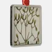 Mistletoe uit 'A Curious Herbal', 1782 Metalen Ornament (Rechts)