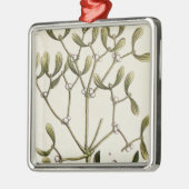 Mistletoe uit 'A Curious Herbal', 1782 Metalen Ornament (Links)