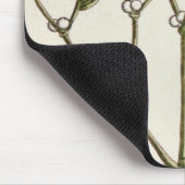 Mistletoe uit 'A Curious Herbal', 1782 Muismat (Hoek)