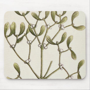 Mistletoe uit 'A Curious Herbal', 1782 Muismat