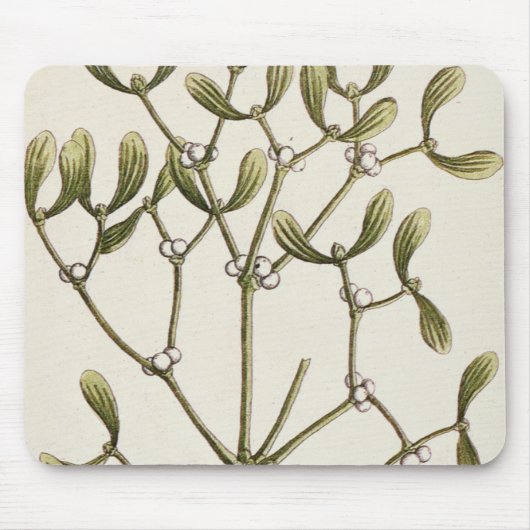 Mistletoe uit 'A Curious Herbal', 1782 Muismat (Voorkant)