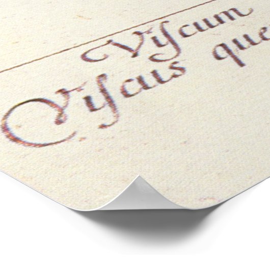 Mistletoe uit 'A Curious Herbal', 1782 Poster (Hoek)