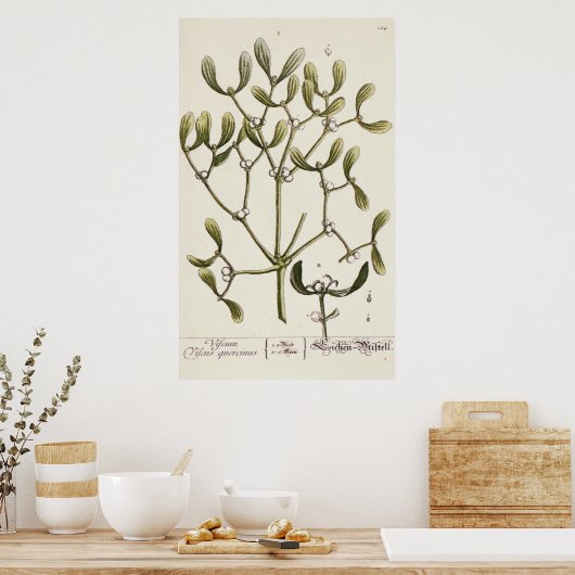 Mistletoe uit 'A Curious Herbal', 1782 Poster (Keuken)