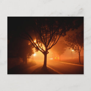 Mistorieboom onder mist briefkaart
