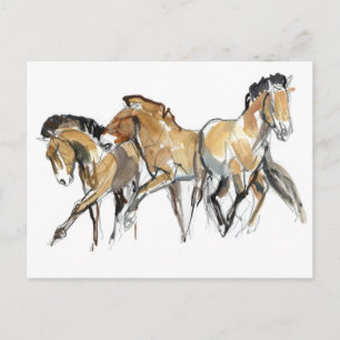 Mistral Drie Briefkaart