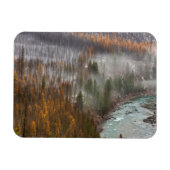 Mistrollen in herfstaartbomen magneet (Horizontaal)