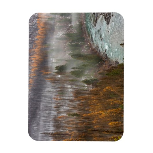 Mistrollen in herfstaartbomen magneet (Verticaal)