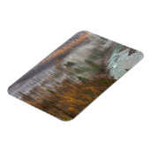 Mistrollen in herfstaartbomen magneet (Linkerzijde)