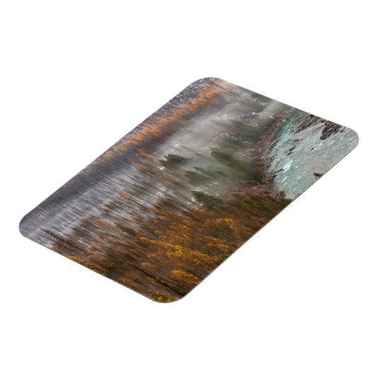 Mistrollen in herfstaartbomen magneet (Linkerzijde)